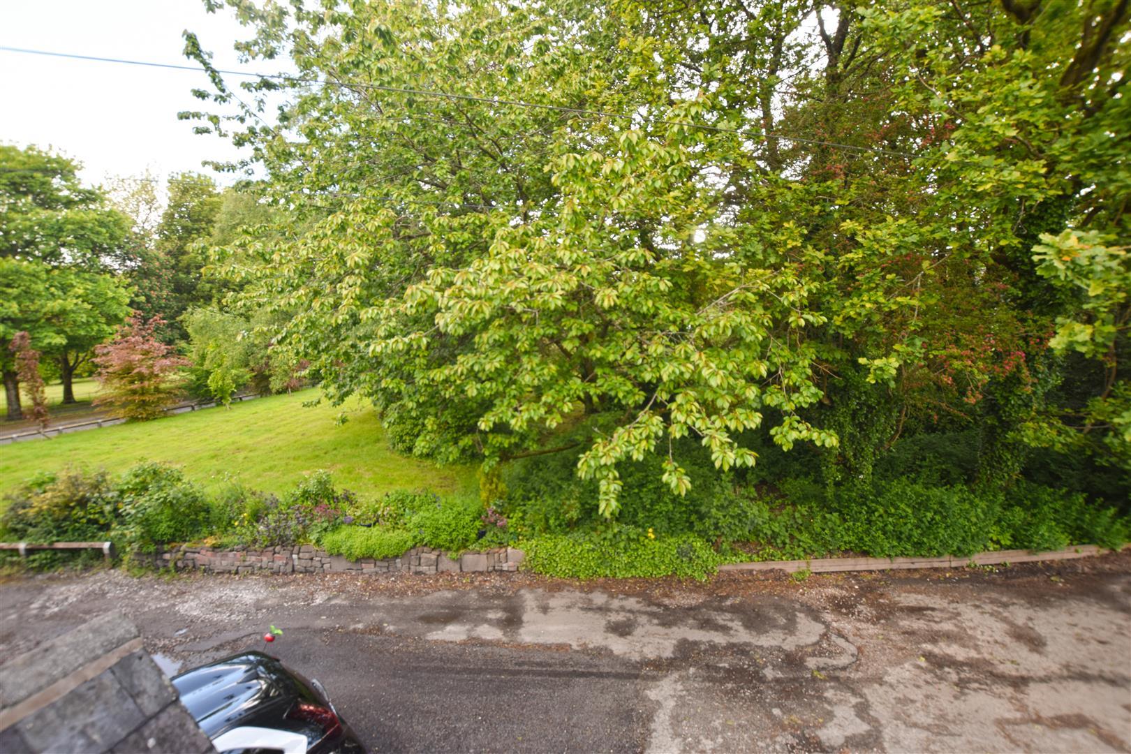Image 21