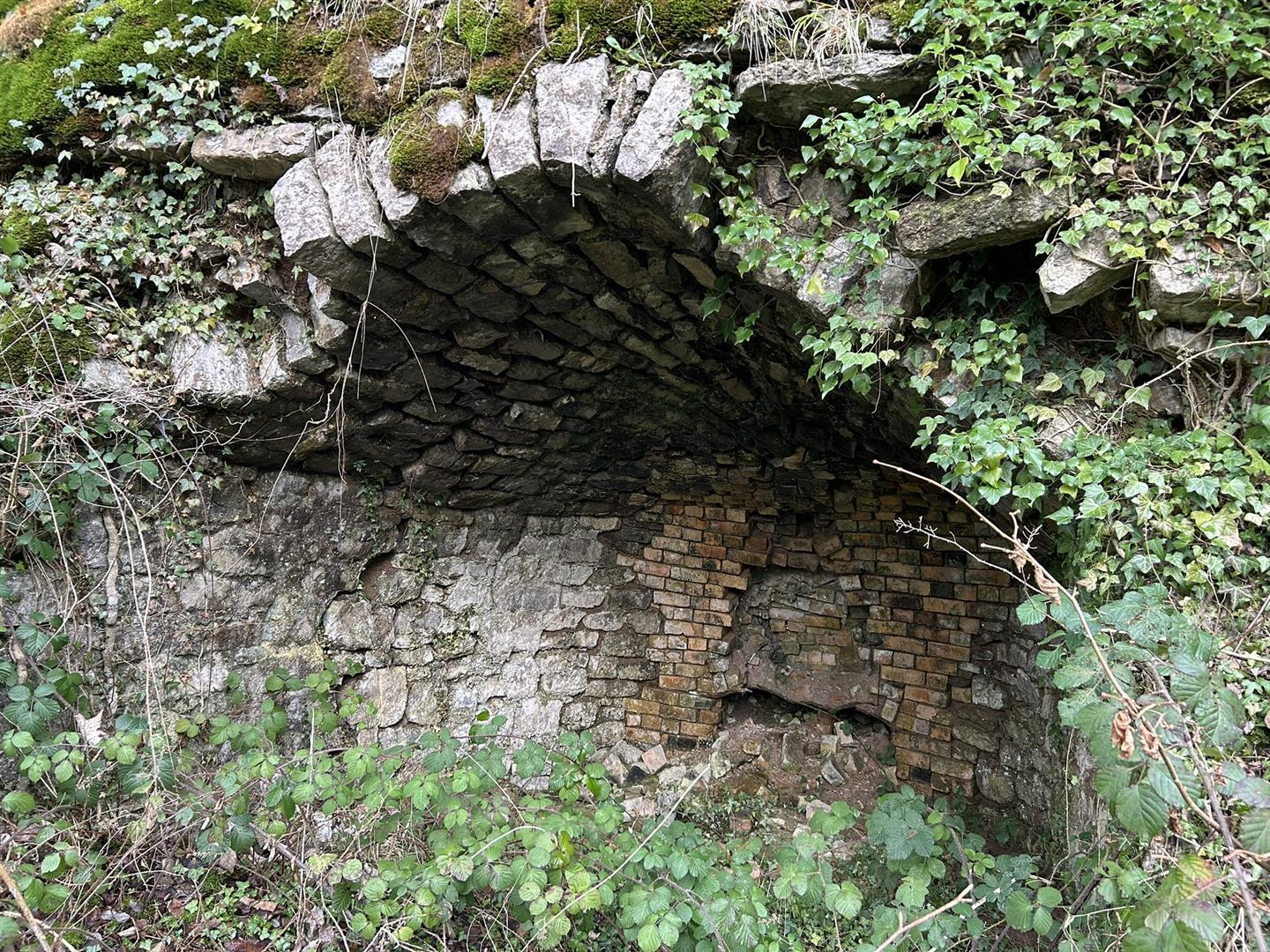Property Image 9804862e-6a4b-4c05-a935-a77e530f7e81