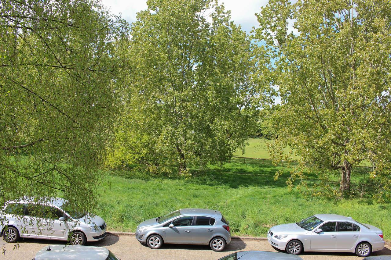 Property Image 98053da2-f3e2-45d0-8076-7cee76add0db