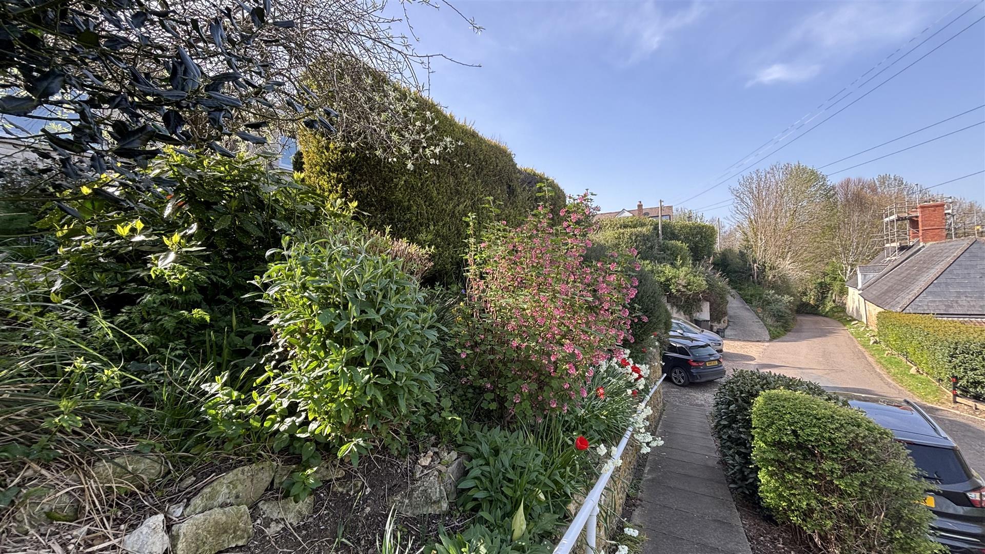 Property Image 982433a4-f7e9-4973-b301-90d6ad14cb97