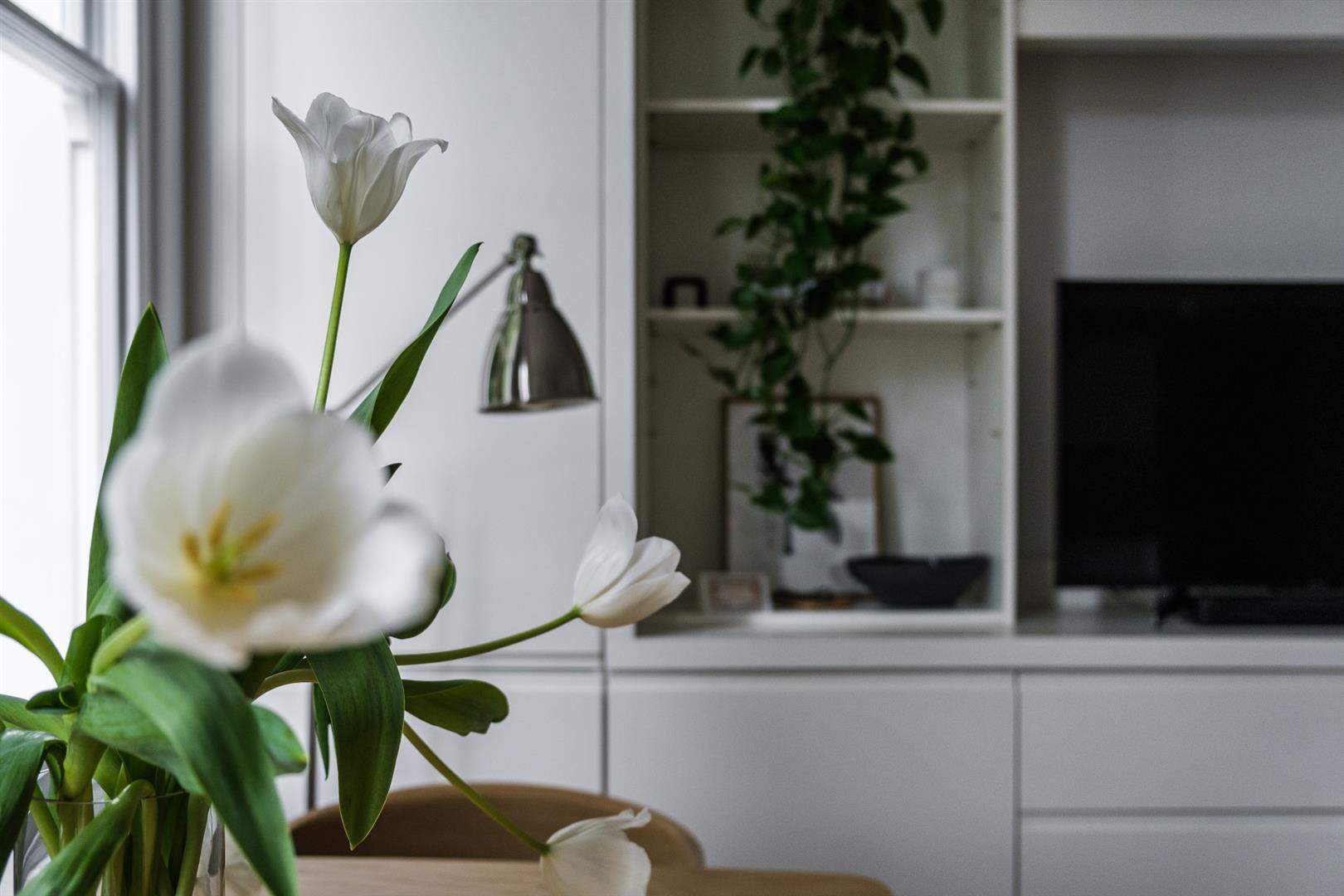 Property Image 9887dcb6-d67d-443d-8278-56b91aaf3483