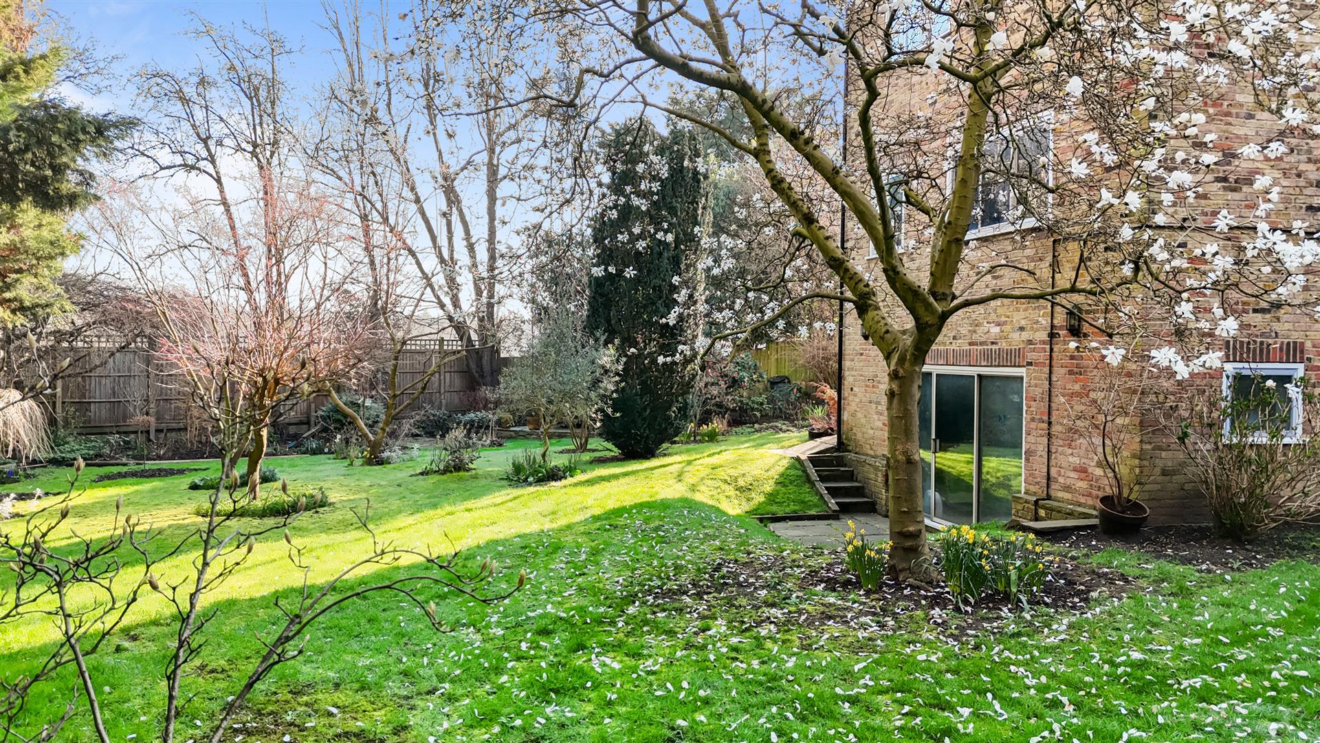 Property Image 98a68e05-4b89-476c-b8c8-cd6303365bfb