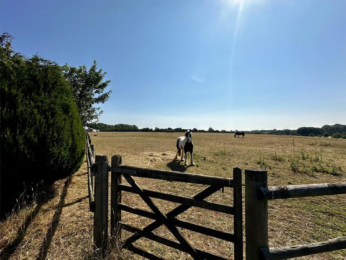 Property Image 98c113ac-52d7-4b2b-b4d5-f8ff51e4b1f5