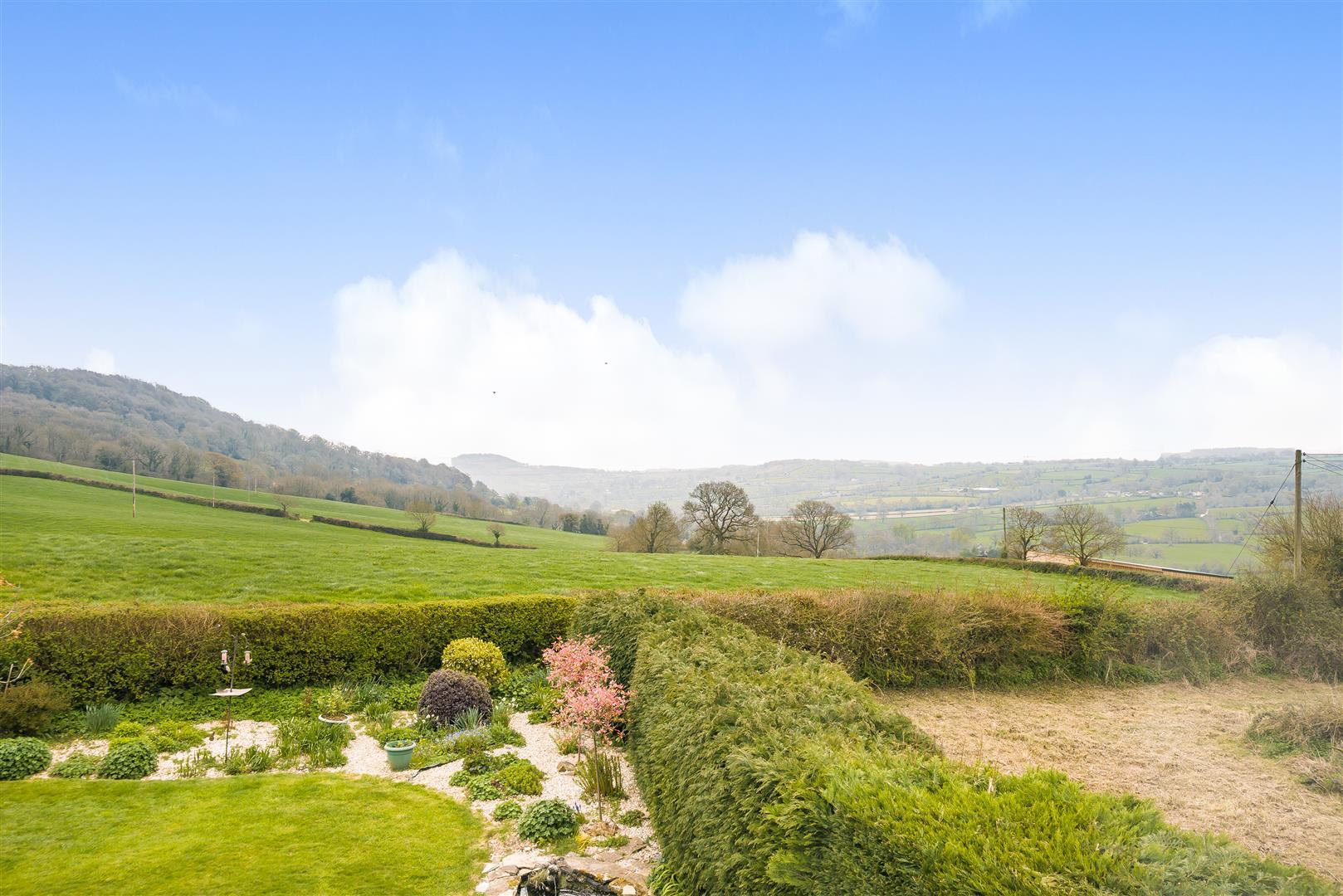 Property Image 98c95d90-e6fe-4407-825a-5a114b7cd3dd