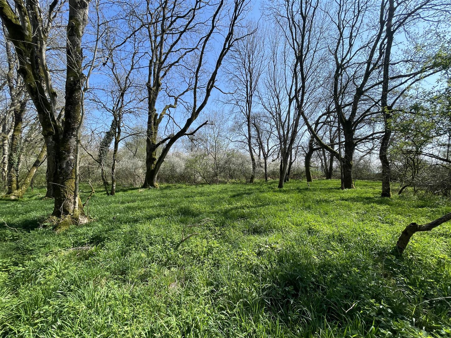 Property Image 98dee57d-201c-4876-b101-e9dbd511c13e