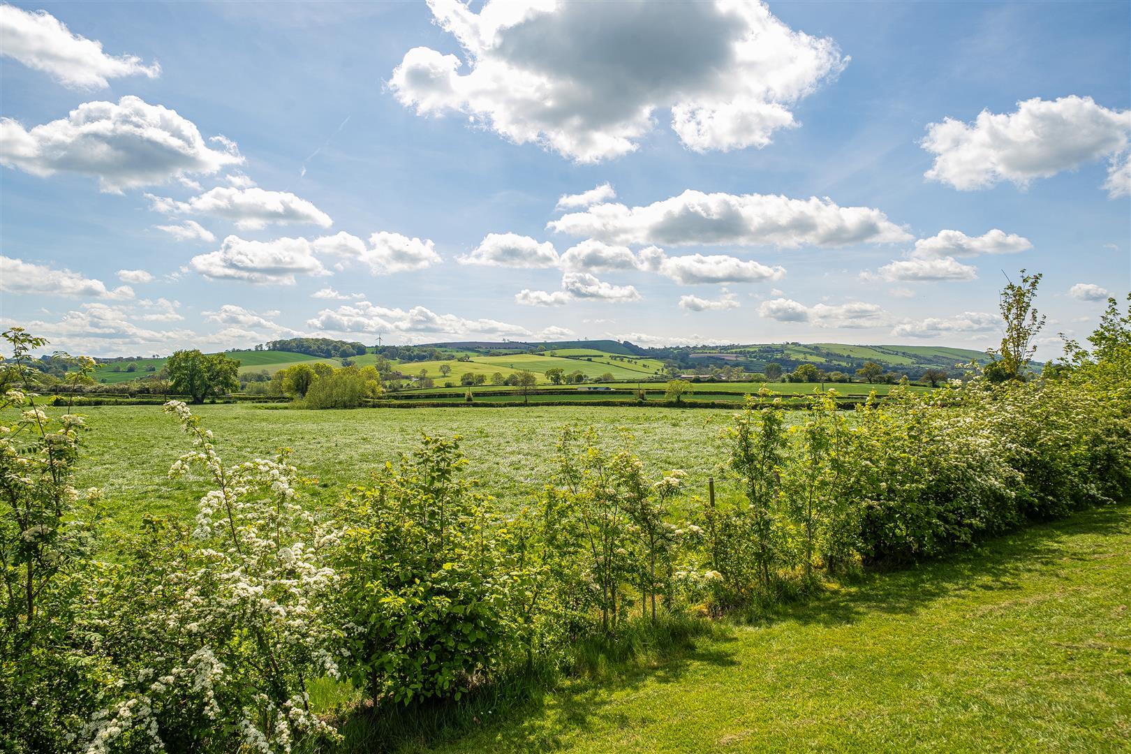 Property Image 98f9eeb5-2fd9-438d-8055-004b793717e2
