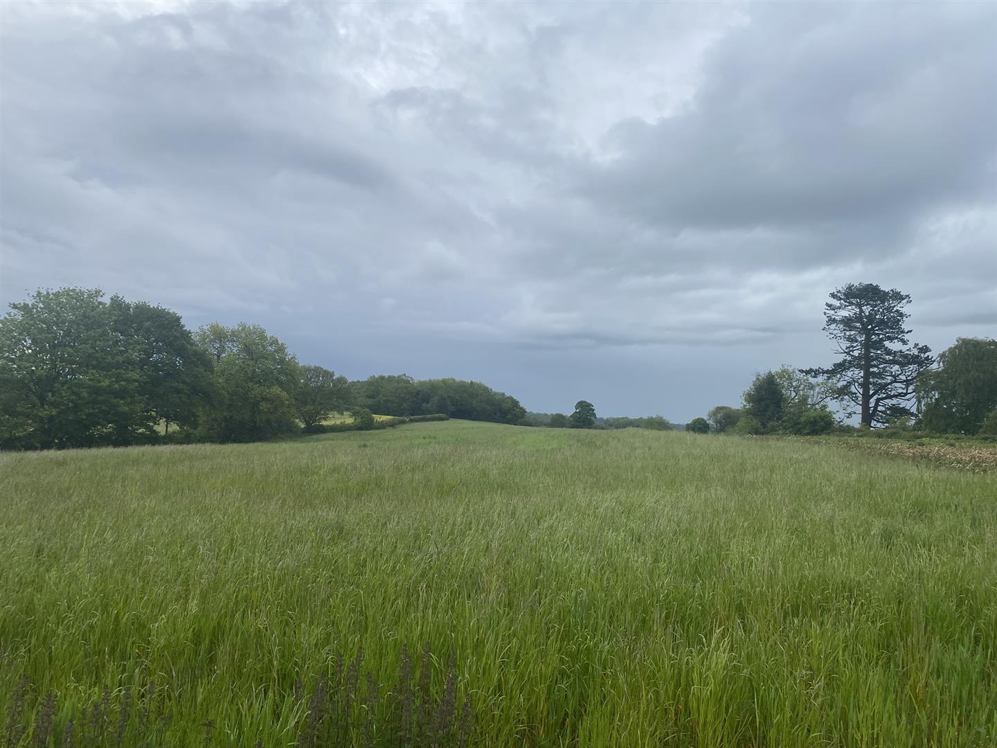 Property Image 98fd075b-3a38-43d7-8127-a1a599873240