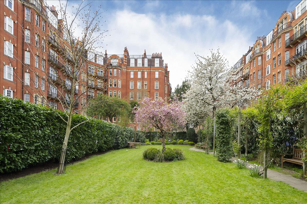 Property Image 992f56cd-cd01-4bed-a262-f9200042dbab
