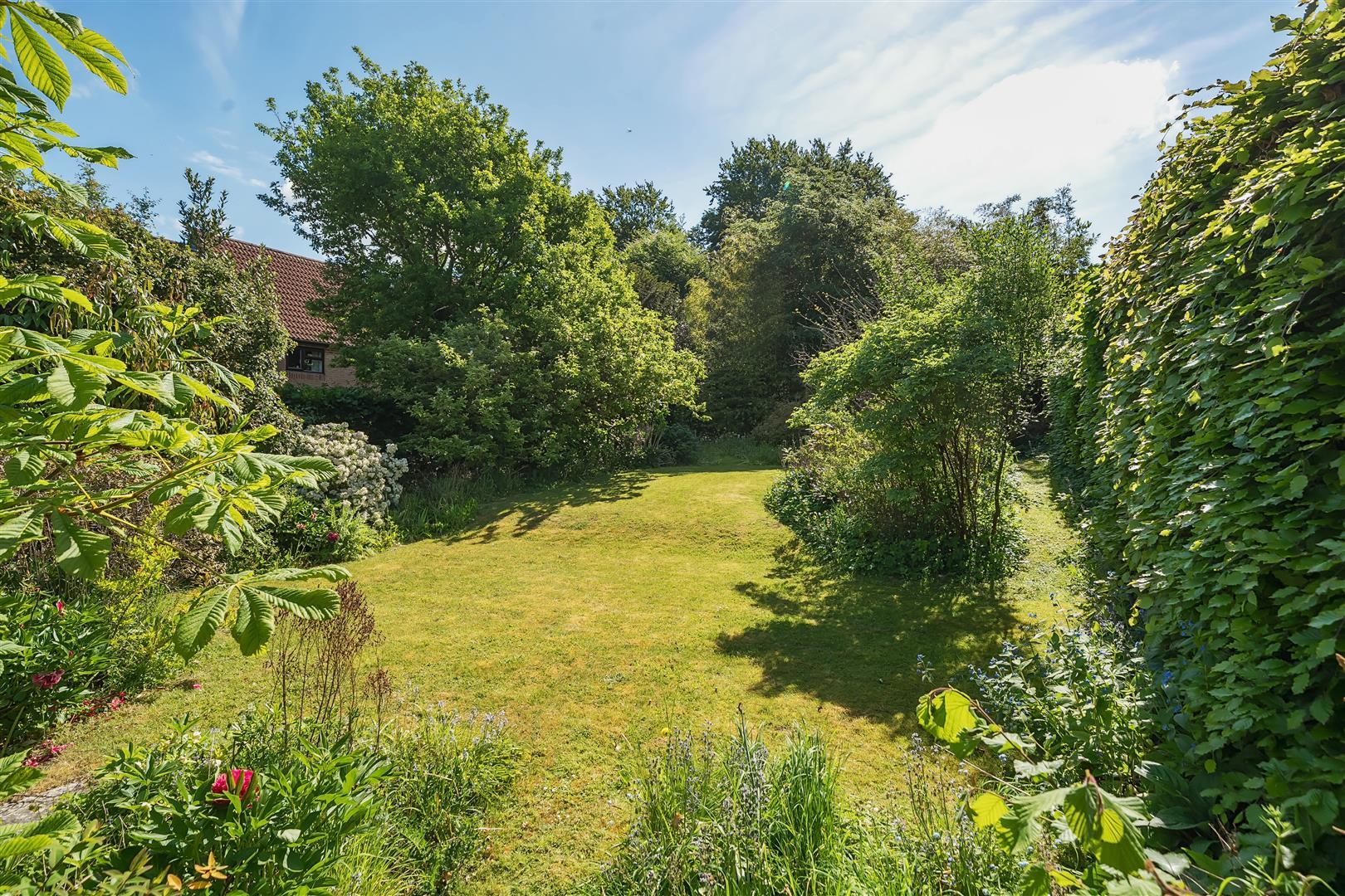 Property Image 993a019b-d70a-4b47-b848-d927dad940e5
