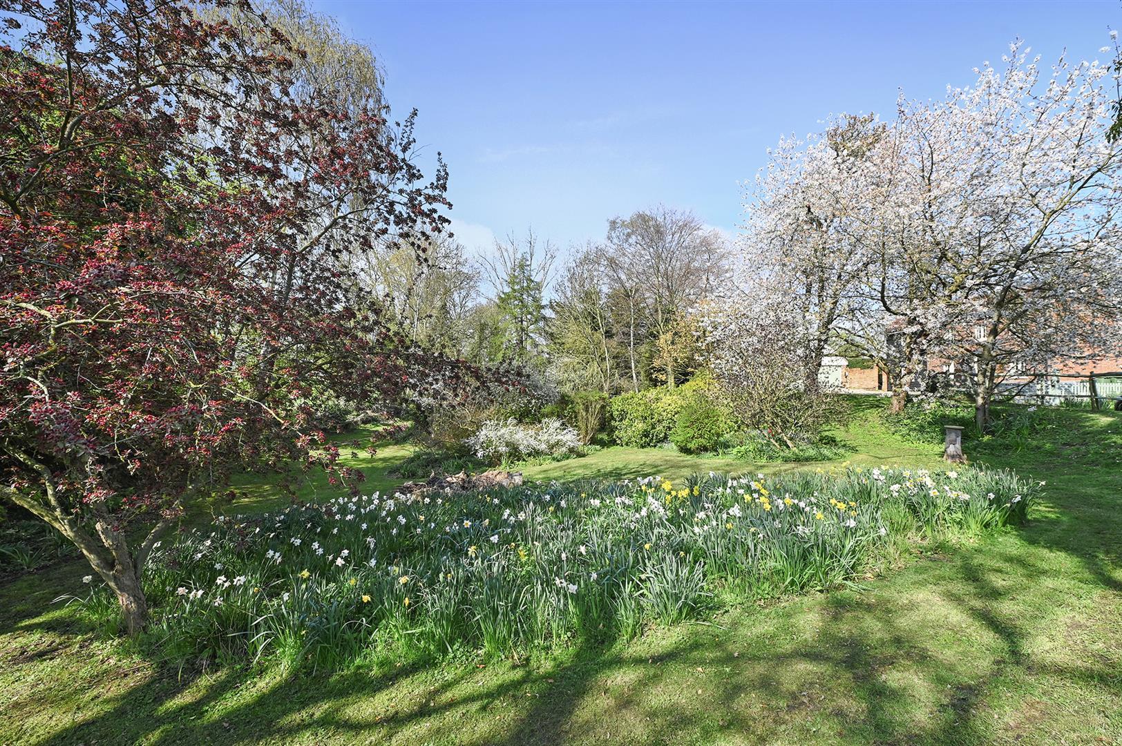 Image 28