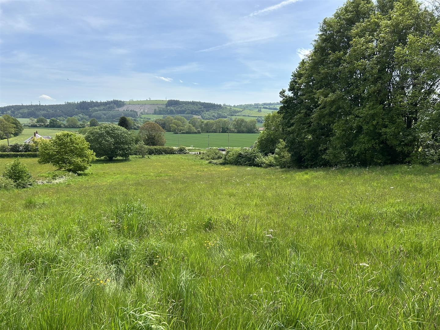 Property Image 993d31d8-4330-4ff3-8d55-b94fe1aa70ad