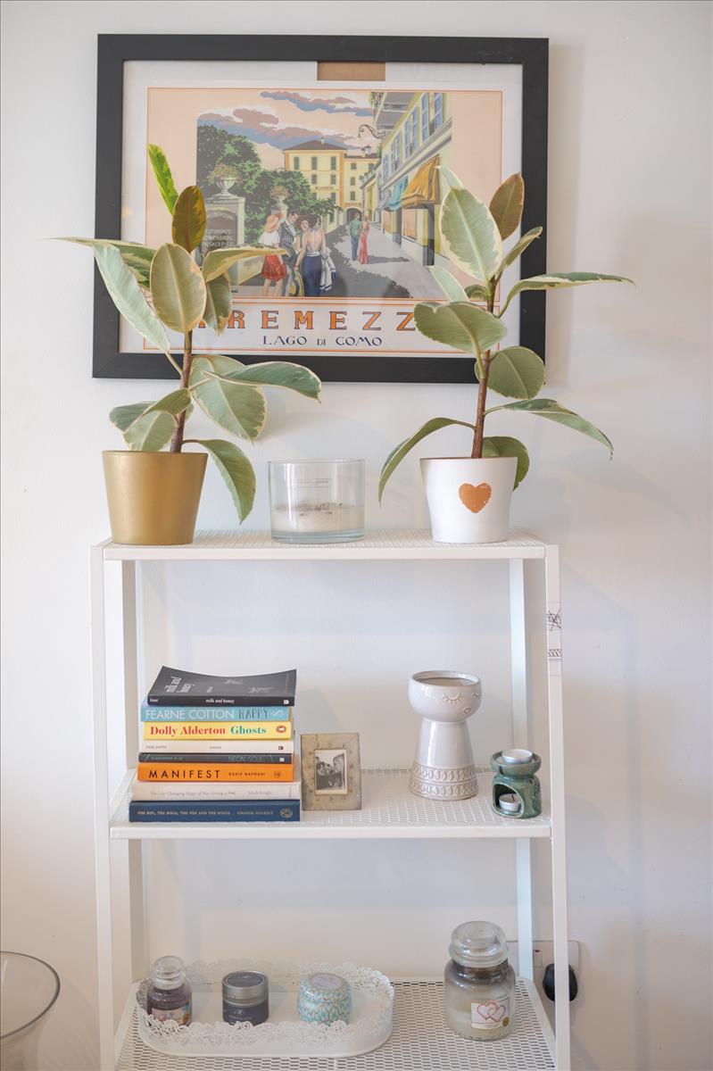 Property Image 9980c734-9bbb-4112-aa45-10194c7c51d8