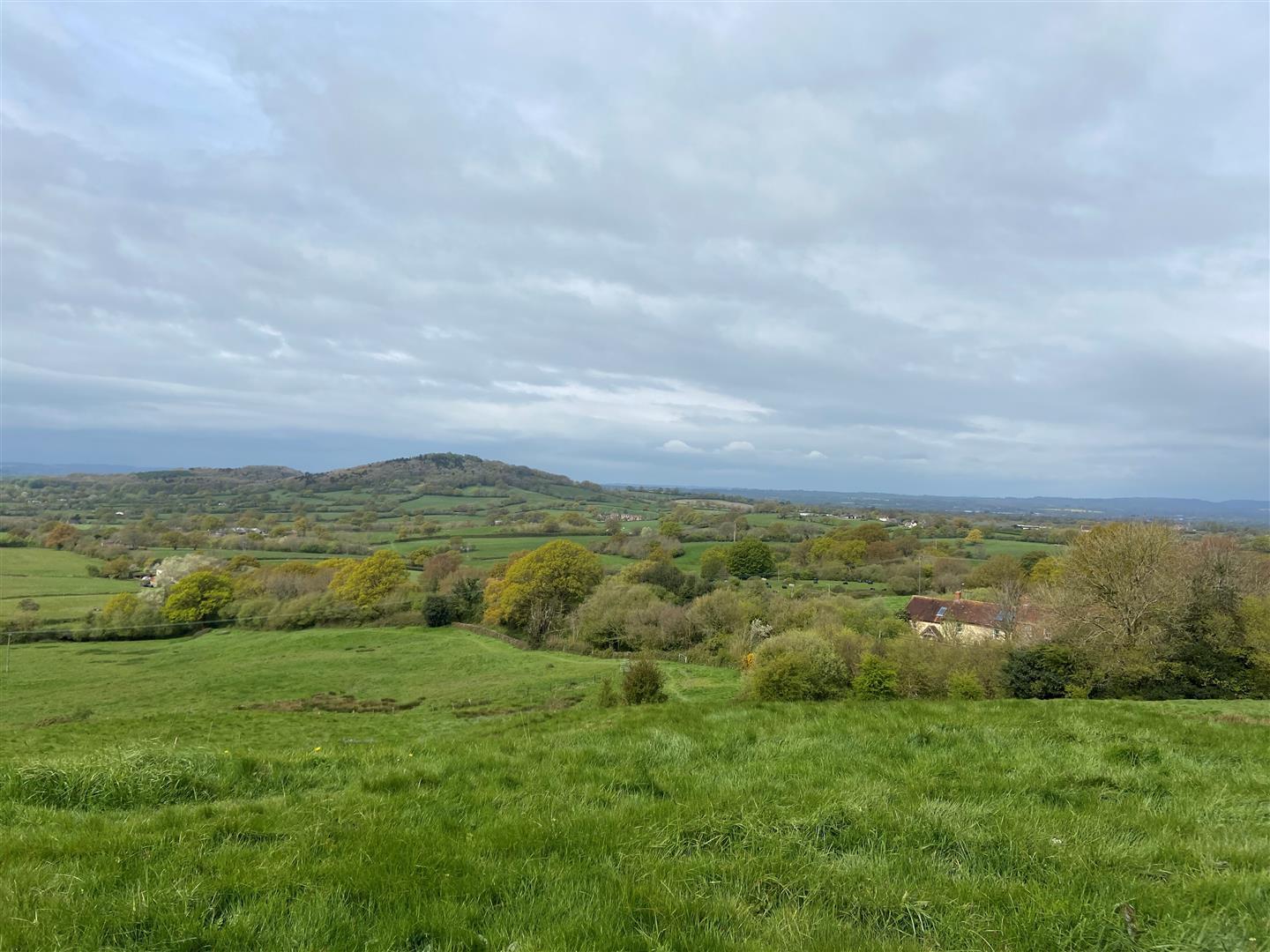 Property Image 99900f09-4604-435f-aa5b-aae55ec94778