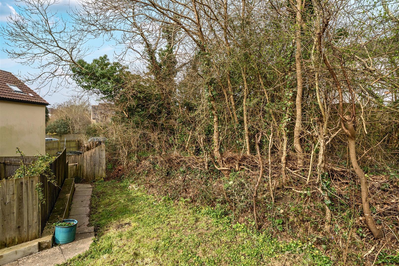 Property Image 9990ad0d-fada-441b-8bca-783111c981f3