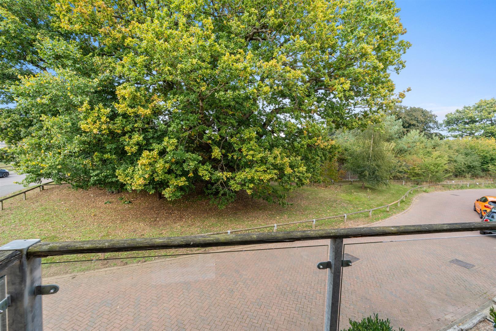 Property Image 999e3d4a-b16d-4ddc-a573-5ec92dfd30c0