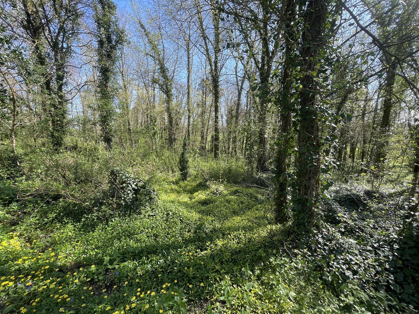 Property Image 99ba13e1-b505-4e02-91df-938b22d46ea5