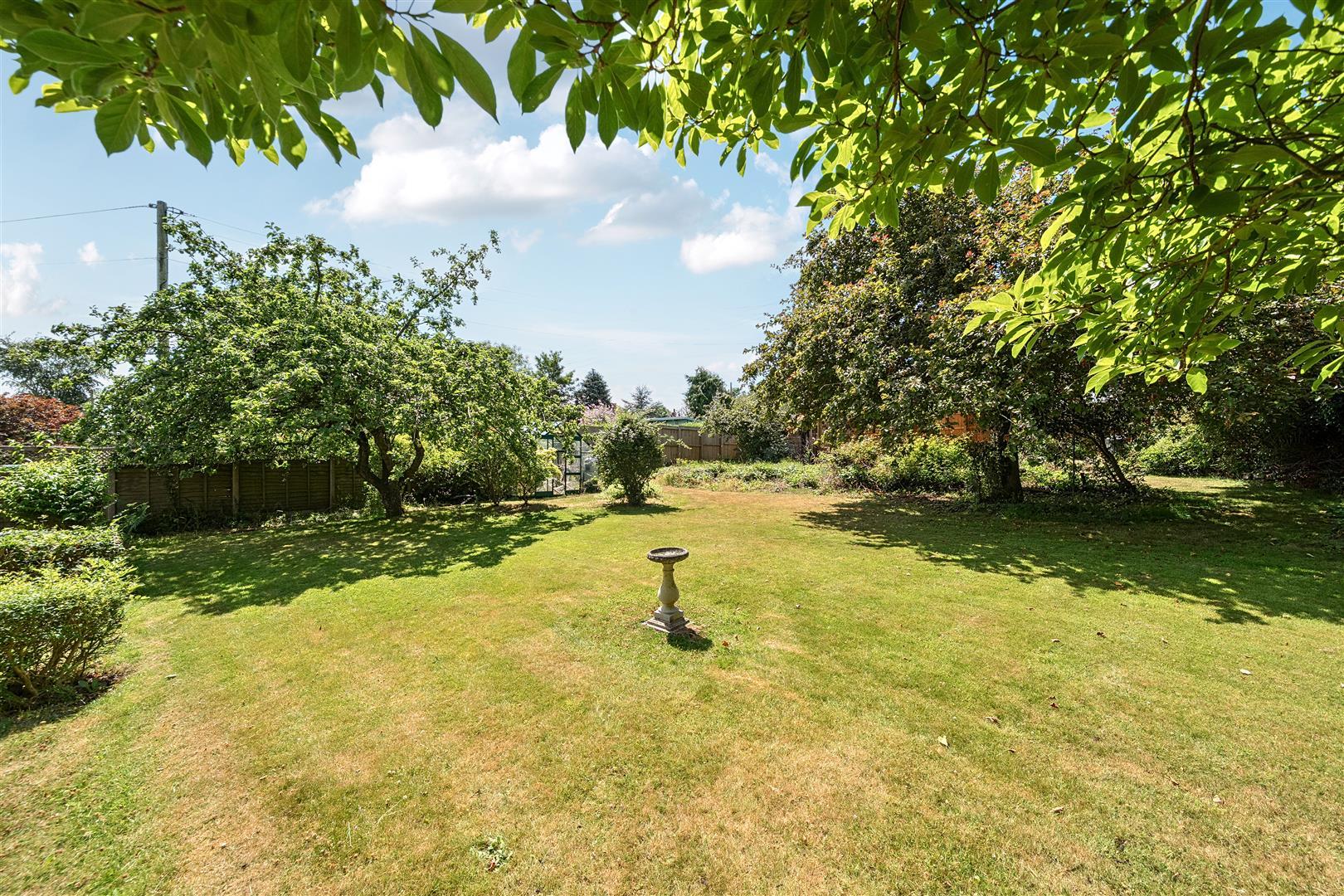 Property Image 99bfee61-e355-4ddc-b06c-8a33c63af718