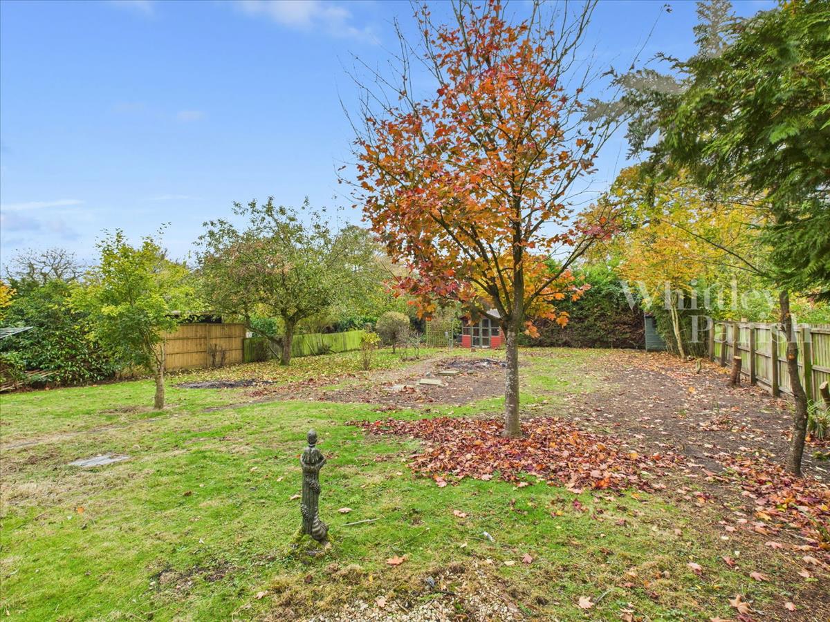 Property Image 99c40e6e-15ee-4be3-8ff0-33564777eb11