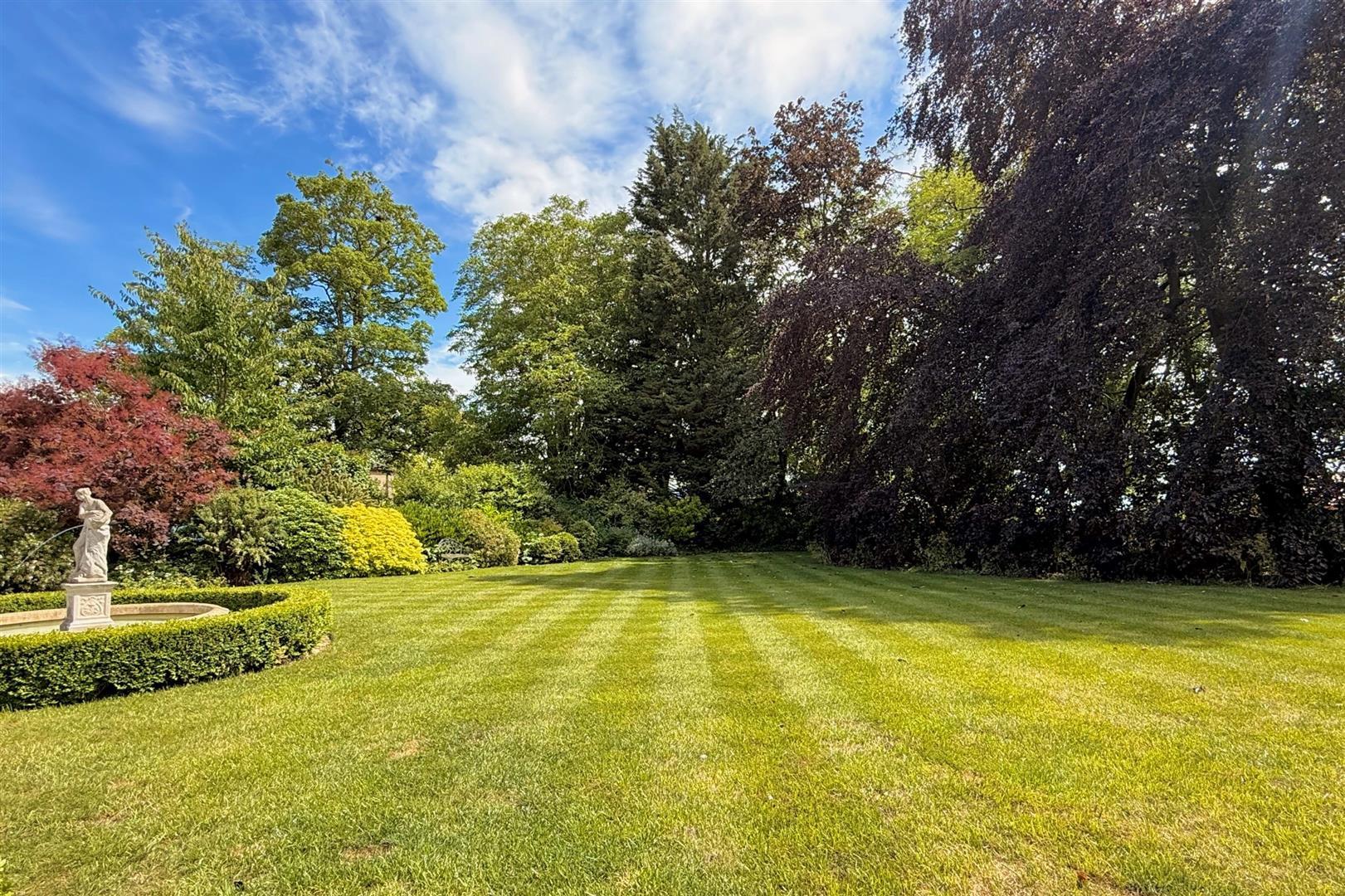 Property Image 99c4b712-e1fd-4ce4-ad19-76cdf3fffa9b