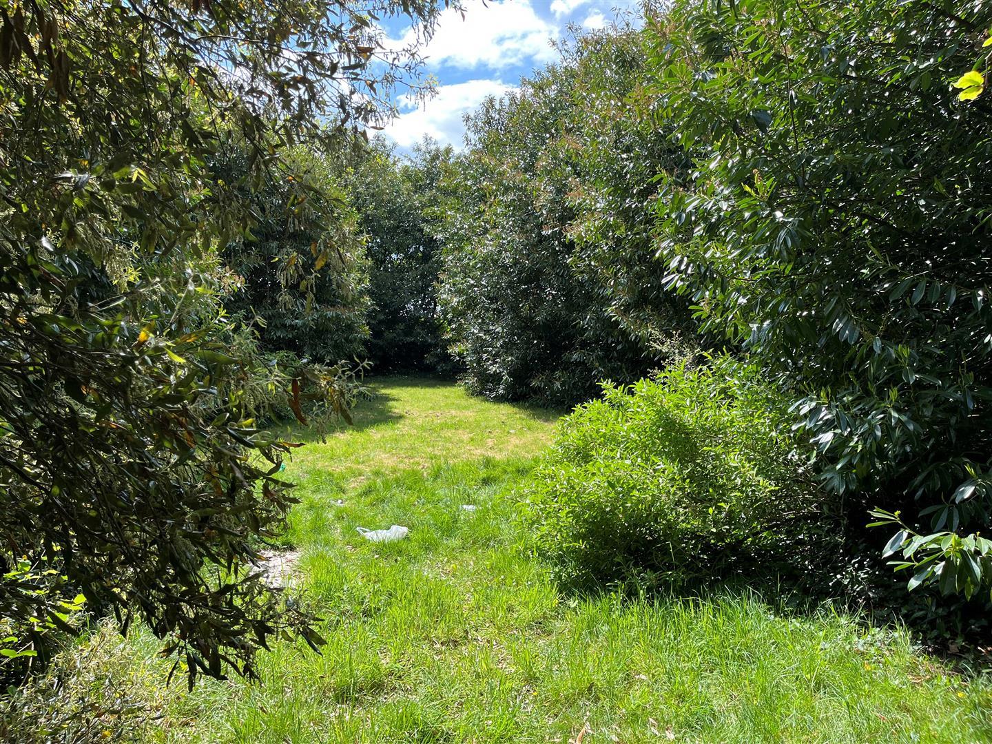 Property Image 99d1be20-9159-4dfd-97c1-9869fb2957ea