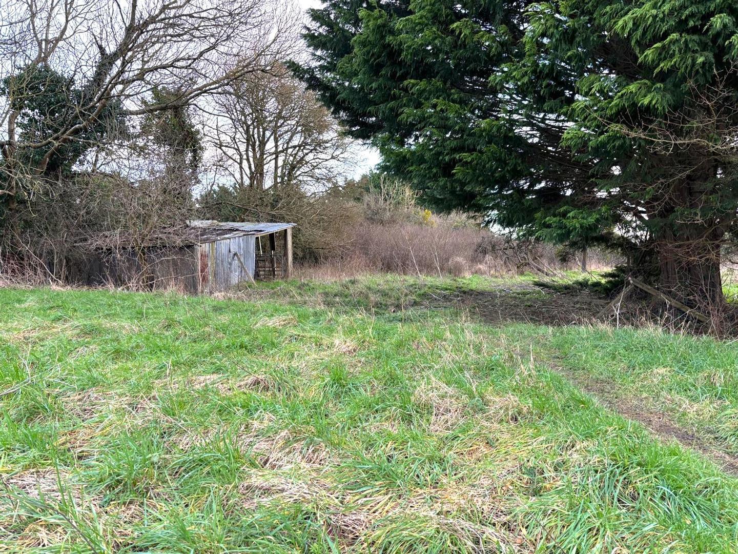 Property Image 99d2719d-8bf1-4924-b1ce-1f713b9b20ab