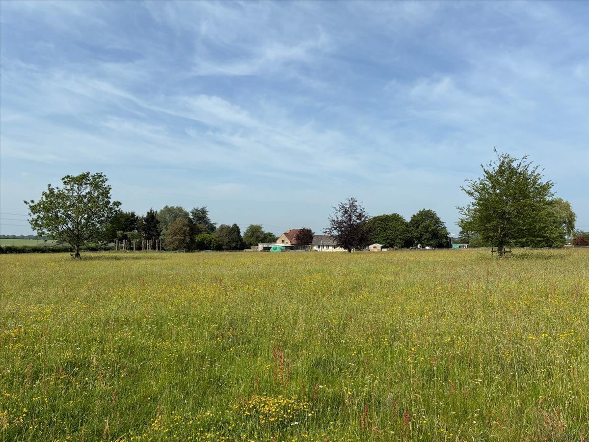 Property Image 99ead235-3765-4c28-88b9-9a833f9e45e3