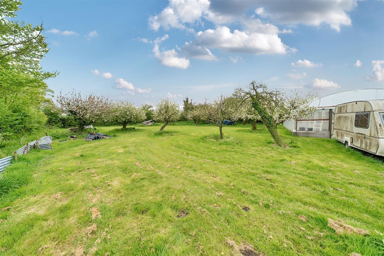 Property Image 99ed346b-1ee6-4929-b527-0914cffab69c