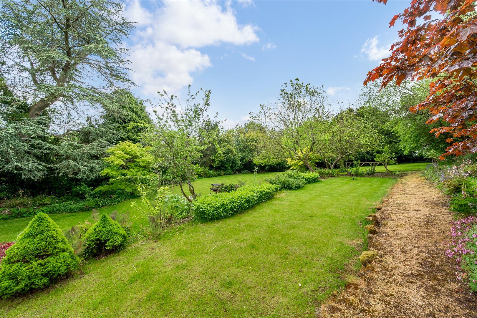 Property Image 99ffaa42-ce18-487e-8daf-18a72e309c35