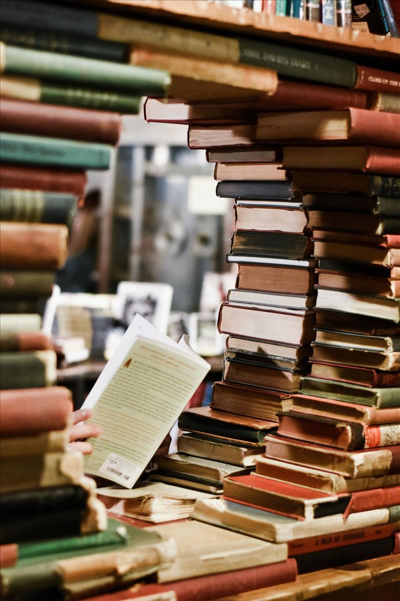 Palmer and Partners. Colchester estate and letting agents