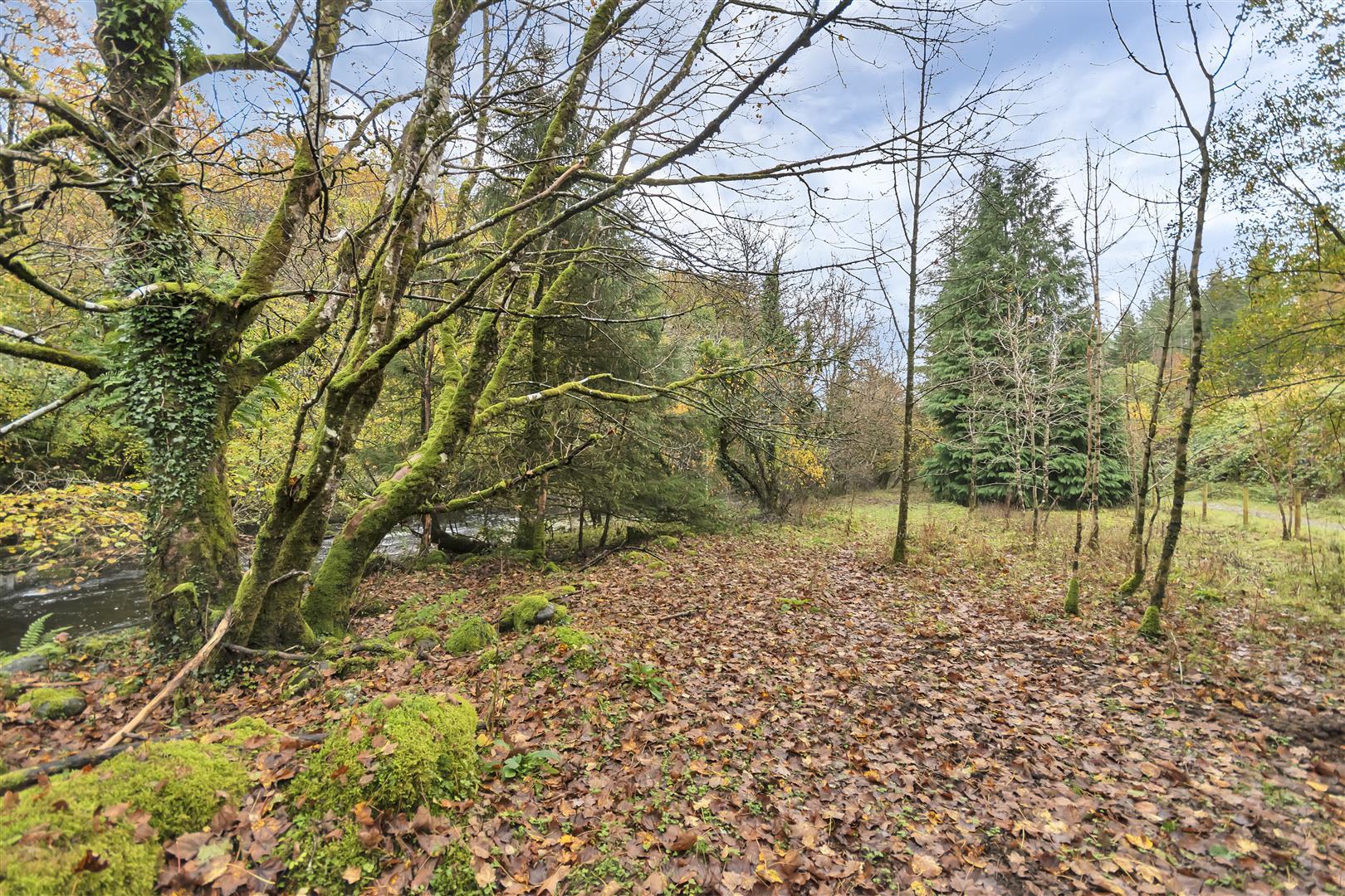 Property Image 9a5b00ed-2b66-46ad-8bf6-0dba277acaa0