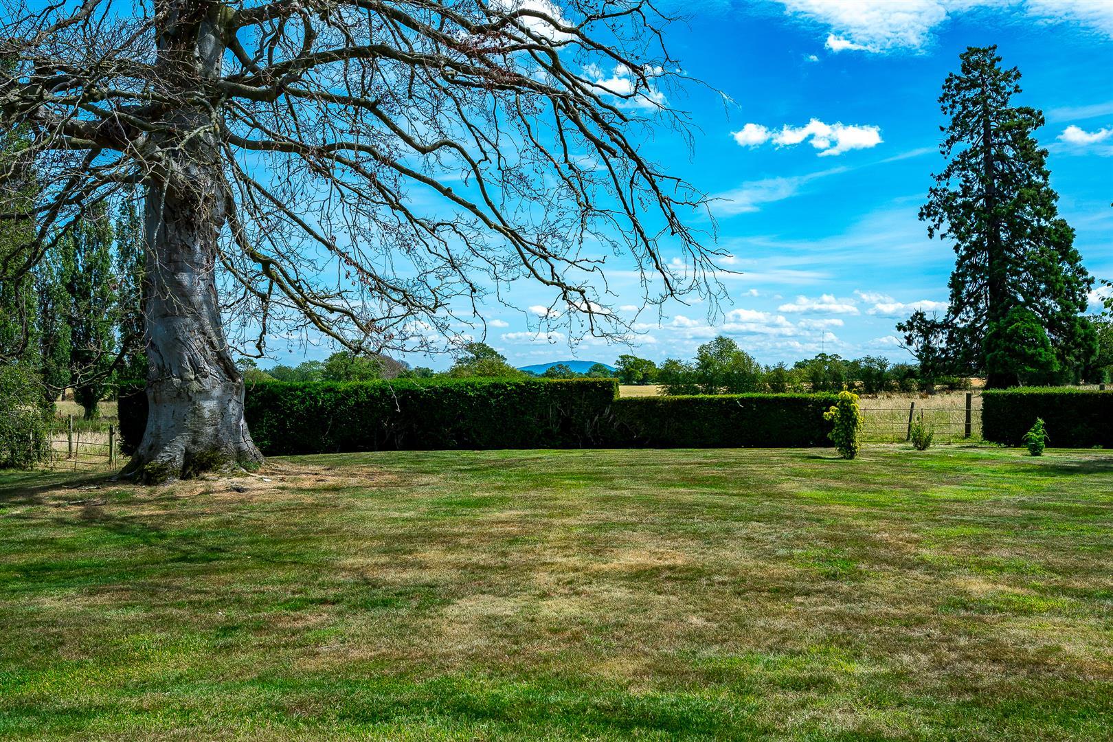 Property Image 9a5d6237-03e5-412d-8bdc-48d28939d573
