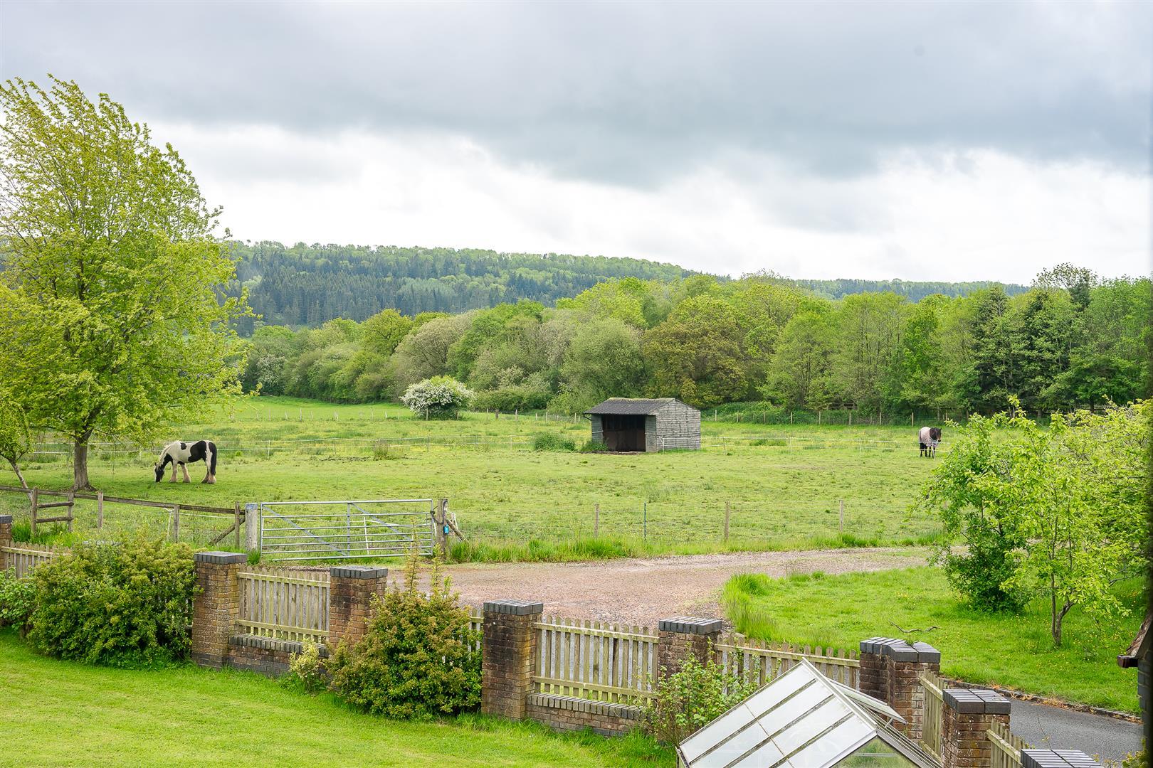 Property Image 9a83731d-8aeb-4b72-aee0-b784b0454cfe