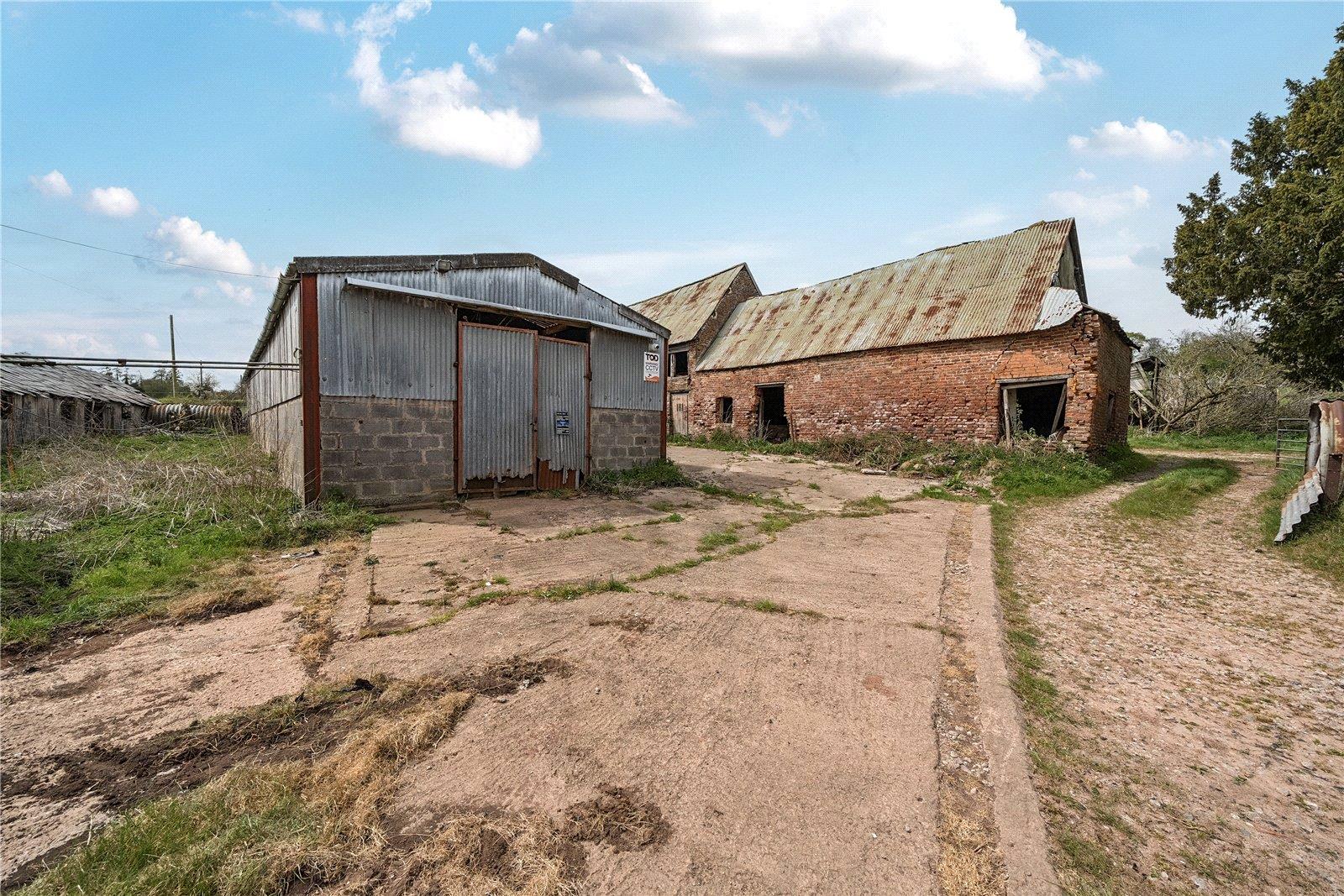 Image 12