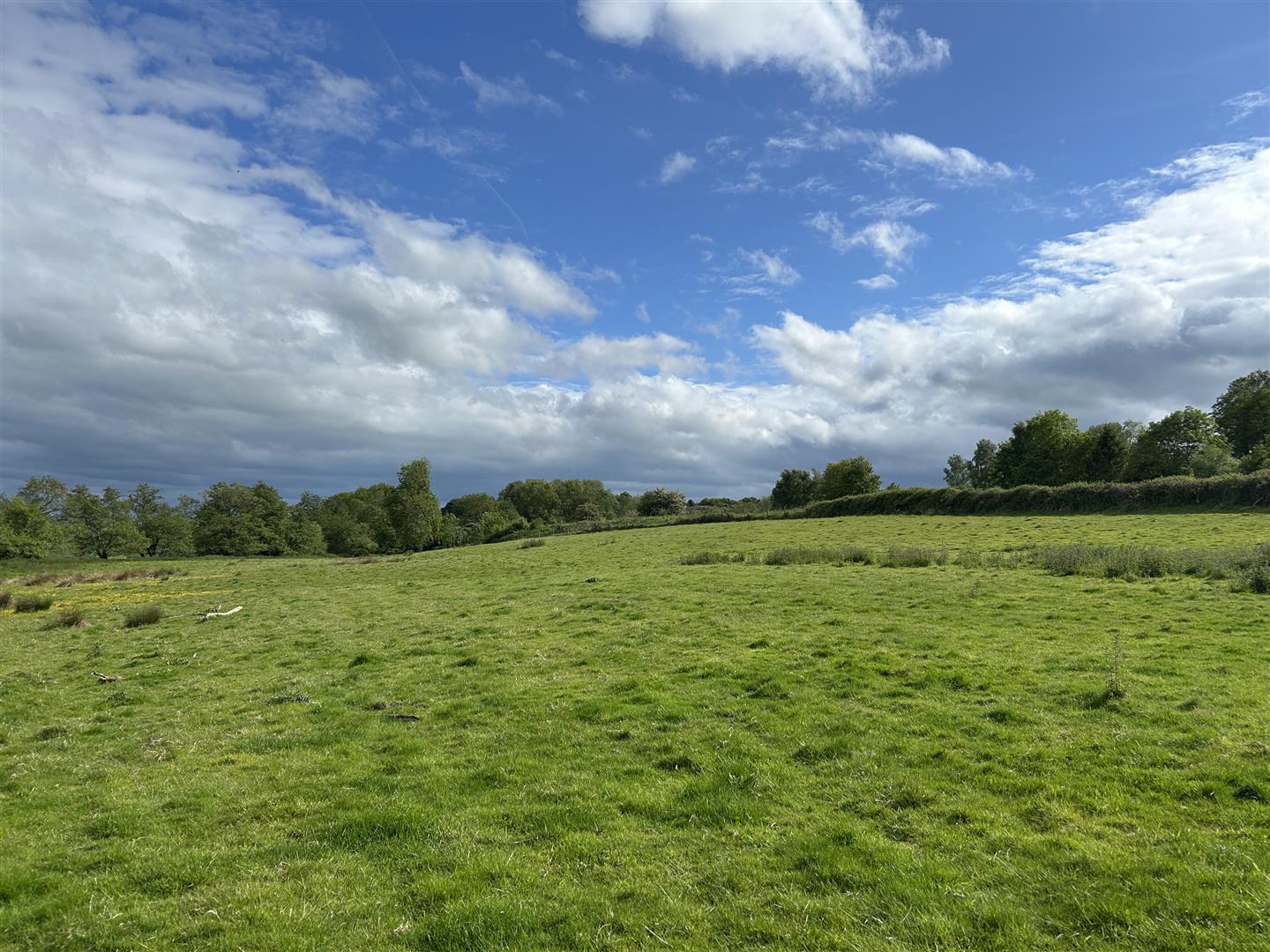 Property Image 9ab92746-5969-4280-af01-a9962c45a389