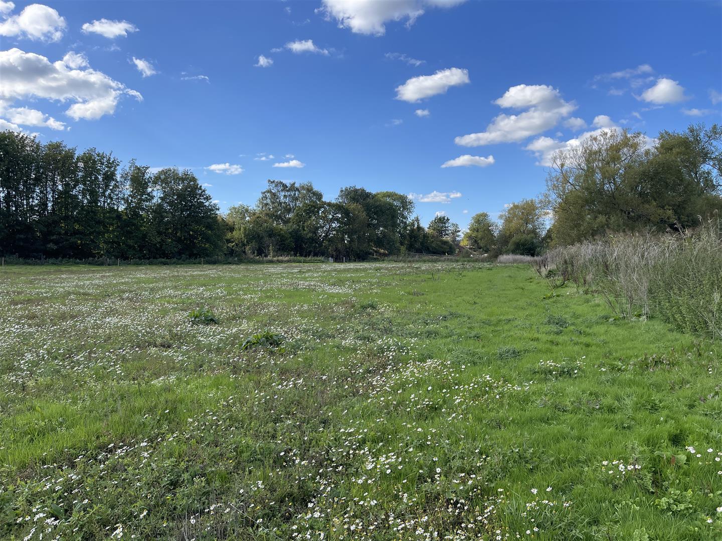 Property Image 9ac88927-f2a1-4f12-99ef-389f3d13838a
