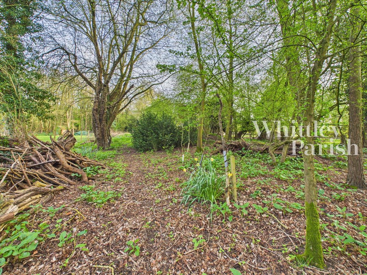 Property Image 9b1ff2c5-a74b-445c-b0fa-261f319203ad