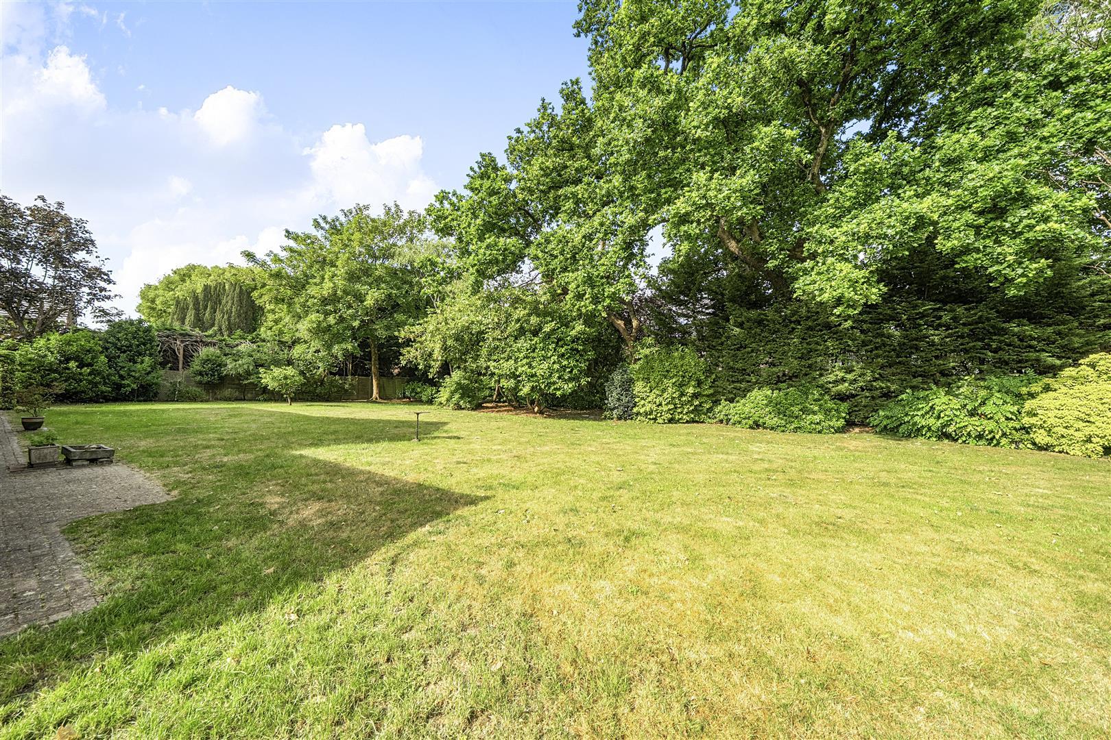 Property Image 9b2c1ba8-badc-4e20-83dc-da9dfeb61661