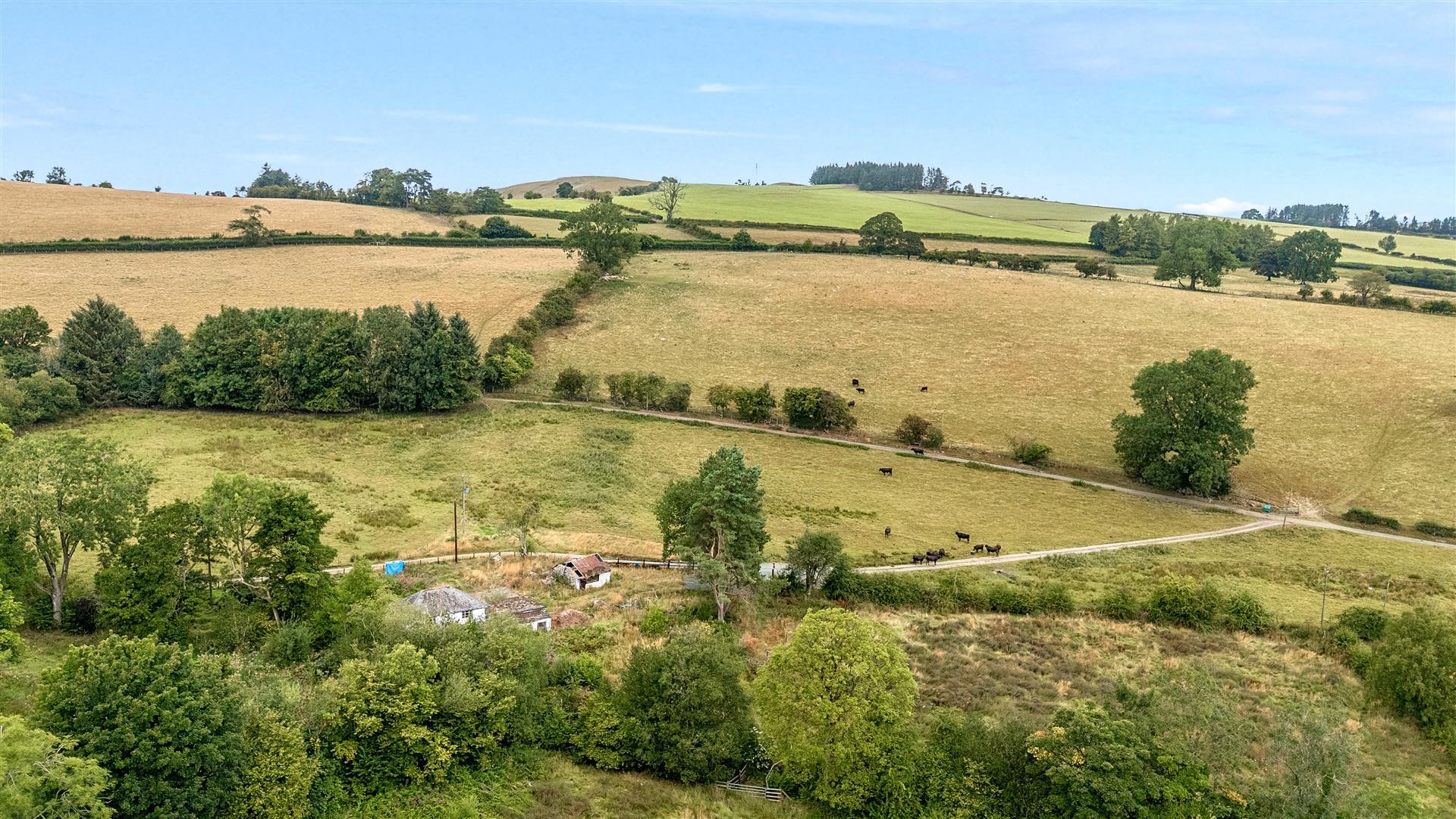 Property Image 9b4d2a38-8a04-426f-826d-e2dcc22c0356