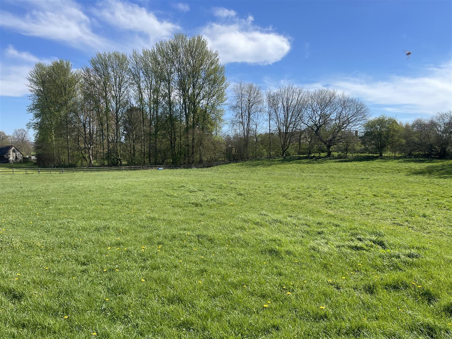 Property Image 9b9a4f21-1485-4428-91fc-8ea55c945e5e