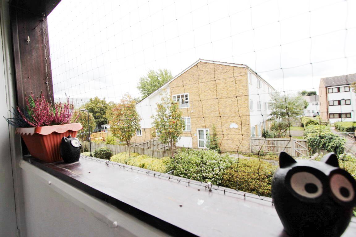 Property Image 9bcc83a6-118e-43bb-995a-aadac39511dc