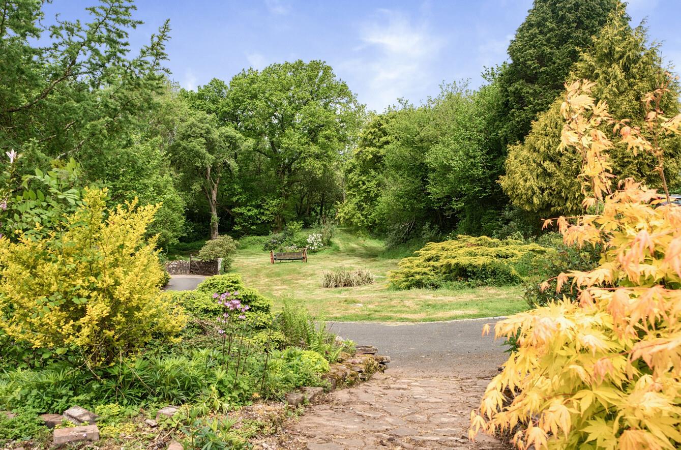 Image 22