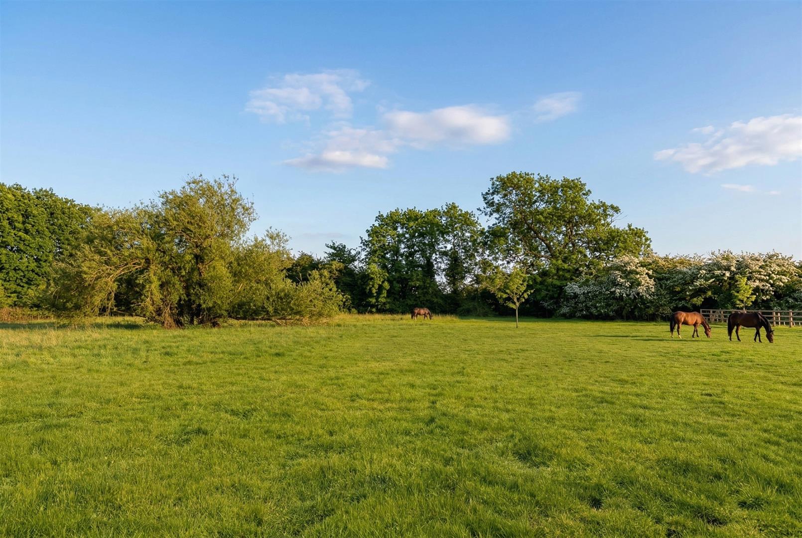 Property Image 9c14ea9c-3417-4d9d-b1c2-18571a3664af