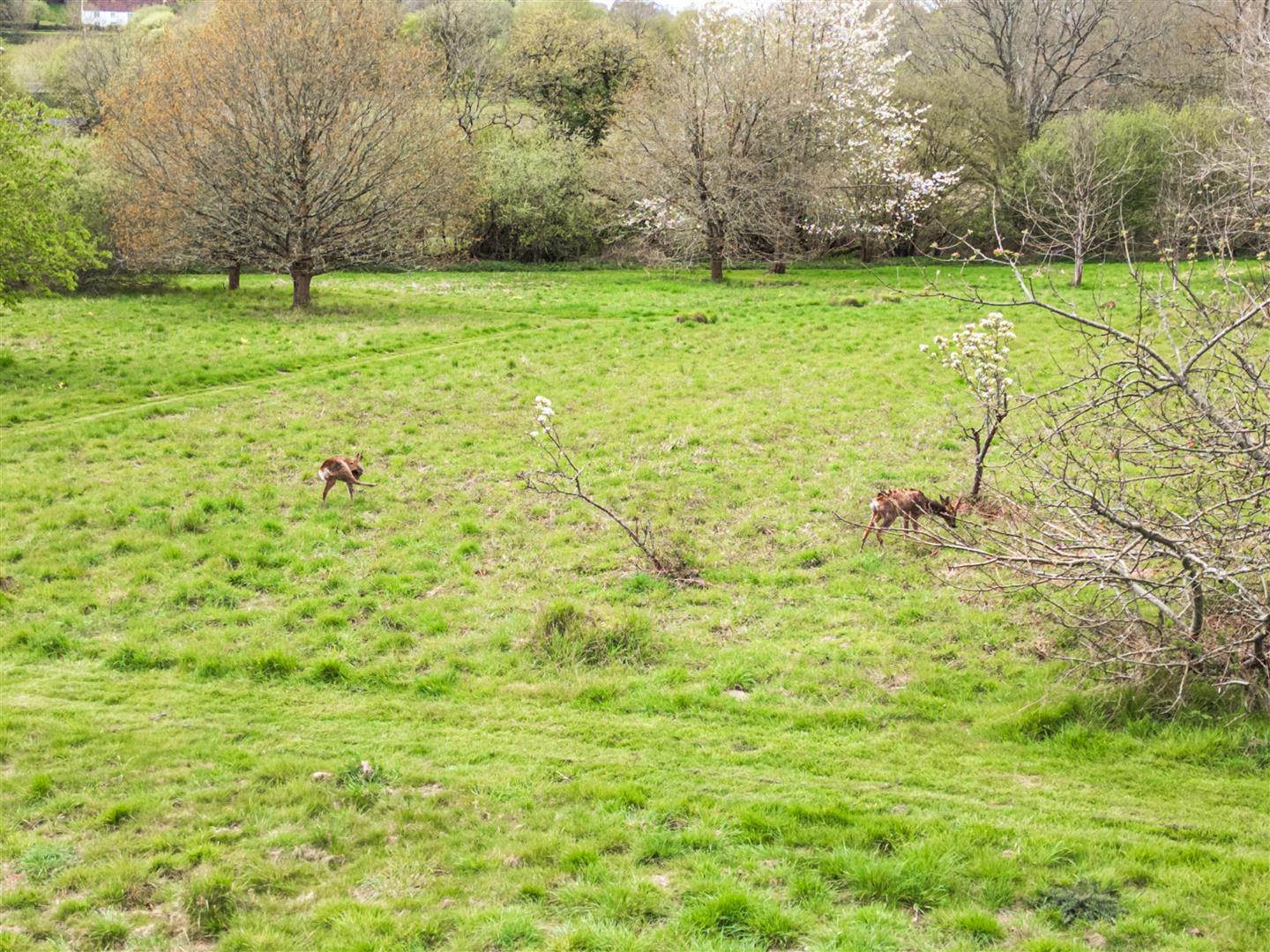 Property Image 9c5ee58c-d8df-4271-9474-91220ef6d87e