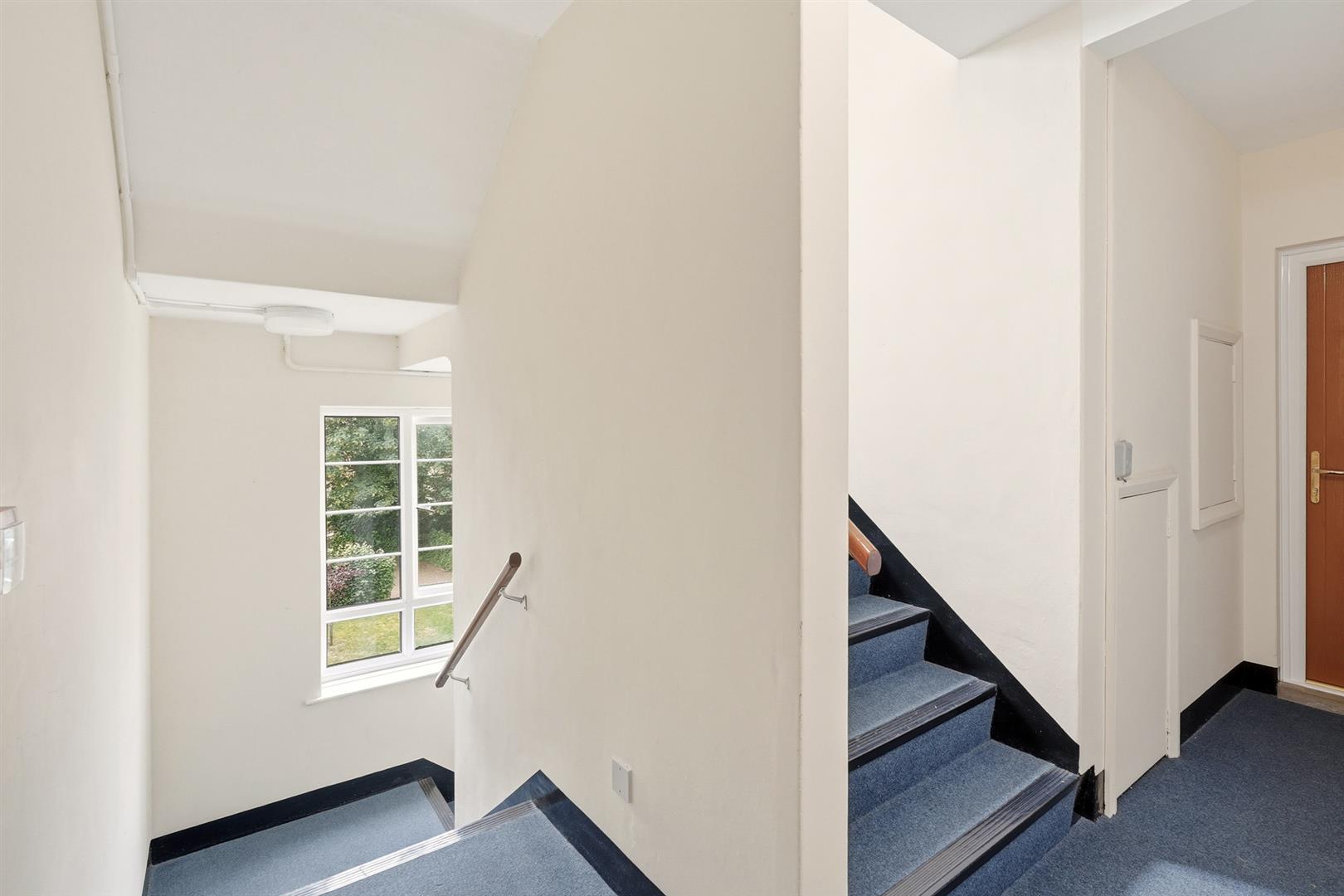 Property Image 9cb54fbf-3d81-4c5a-9873-54eeeb944724