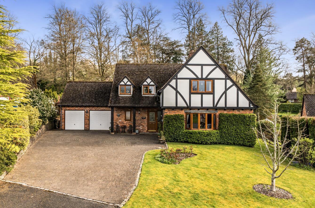 Property Image 9cb84d97-024c-4b88-a96b-95b5beb79105