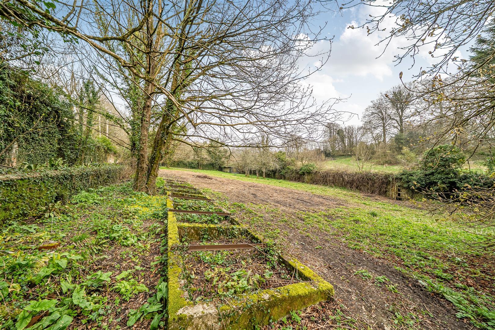 Property Image 9cbcf5d1-8645-42d5-ad91-63868f4bcf31