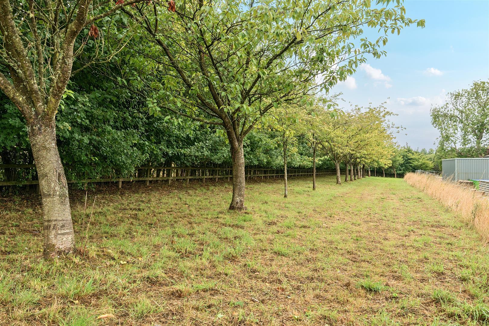 Property Image 9cbe5f55-89aa-46b1-a605-b6bed3ea338b