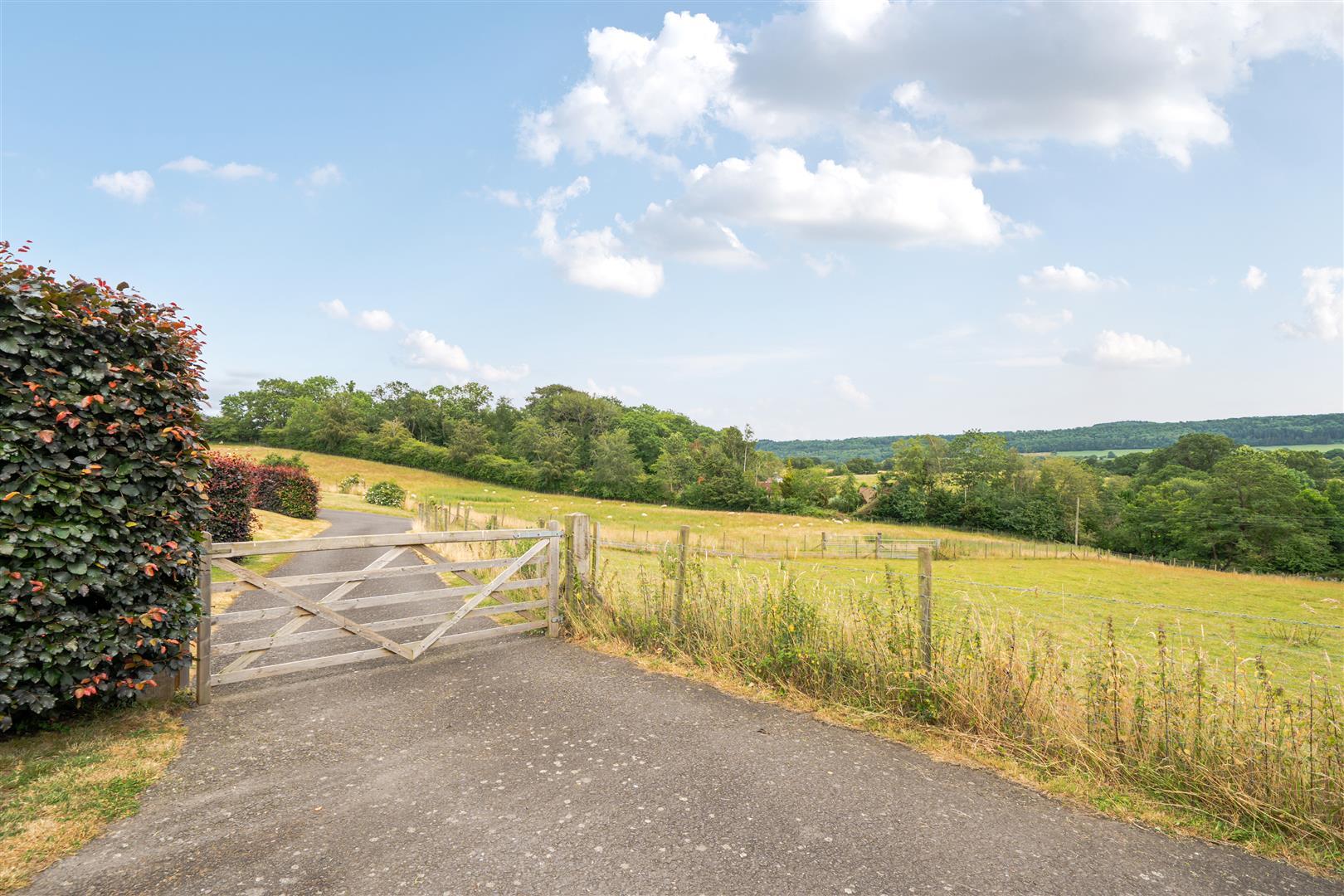 Property Image 9cee33e8-b580-407c-8550-865b1e863aa2