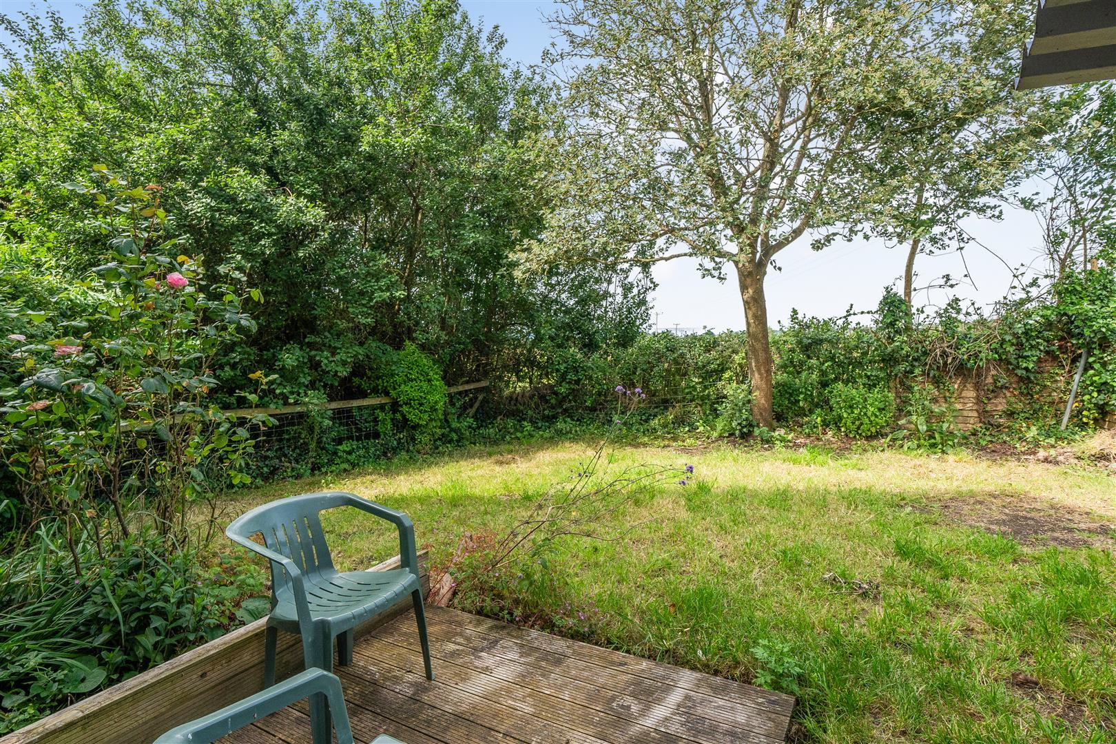 Property Image 9d4c4272-83b4-48a1-a819-144dcb7e91f3