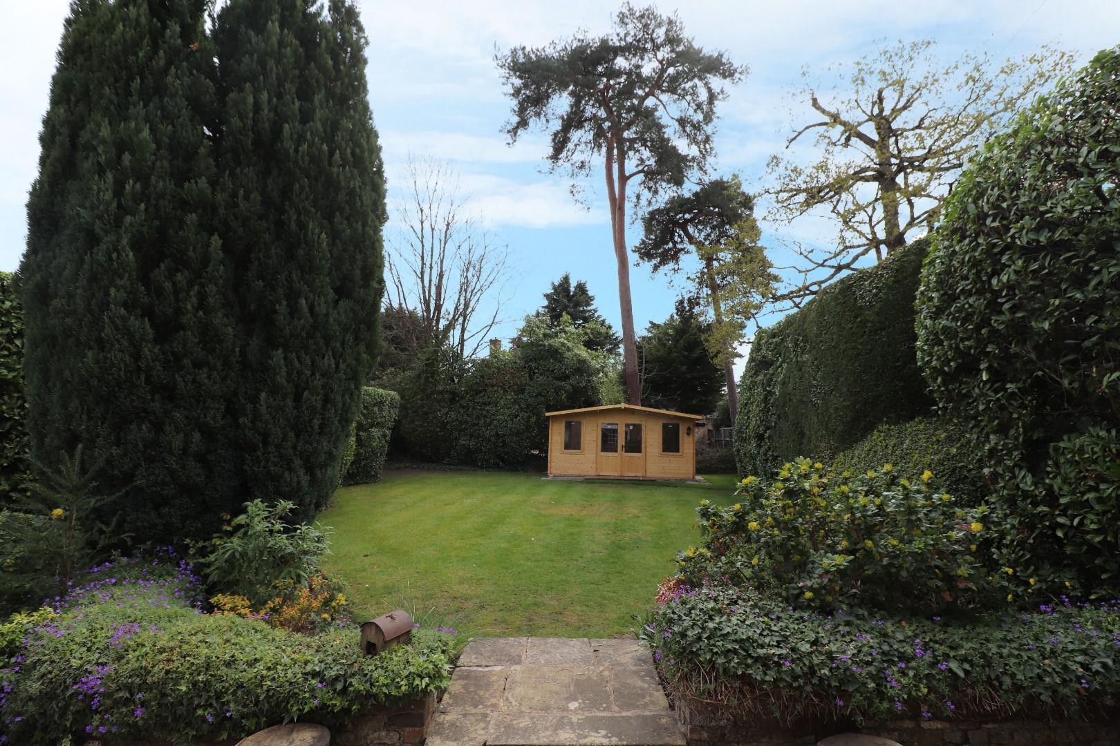 Image 14